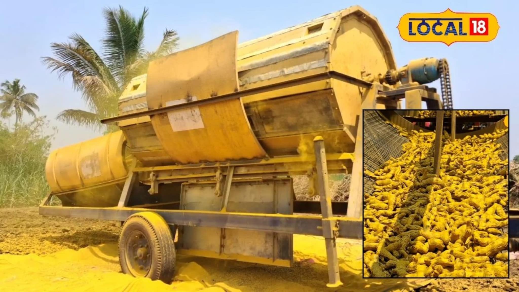 Turmeric Polishing : पिवळ्या सोन्यातून पैसा कमवायचा, तर पॉलिशिंग हवंच, हळद काढल्यानंतर काय करतात? पाहा Video