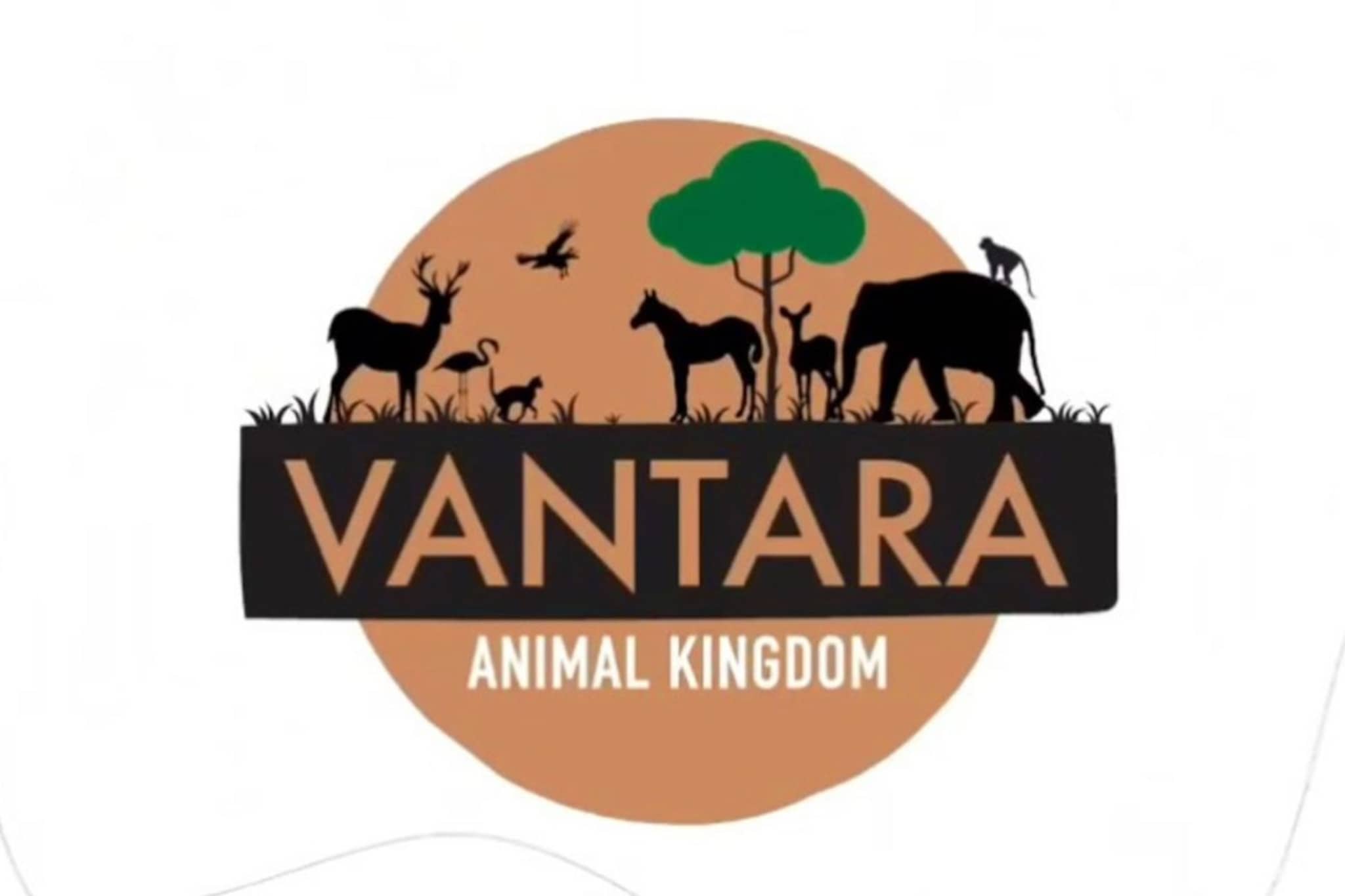 कायद्याचे उल्लंघन नाहीच! वंतारा प्रकल्पाबाबत सर्वोच्च न्यायालयाचा स्पष्ट निर्वाळा 