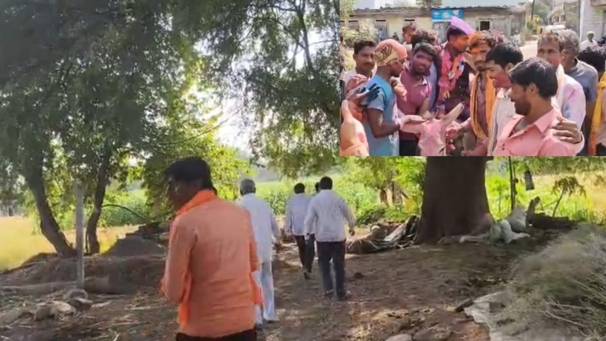 Beed: जावयाची गाढवावरून मिरवणूक काढण्याची प्रथा, जावई पिकात लपून बसला अन्...