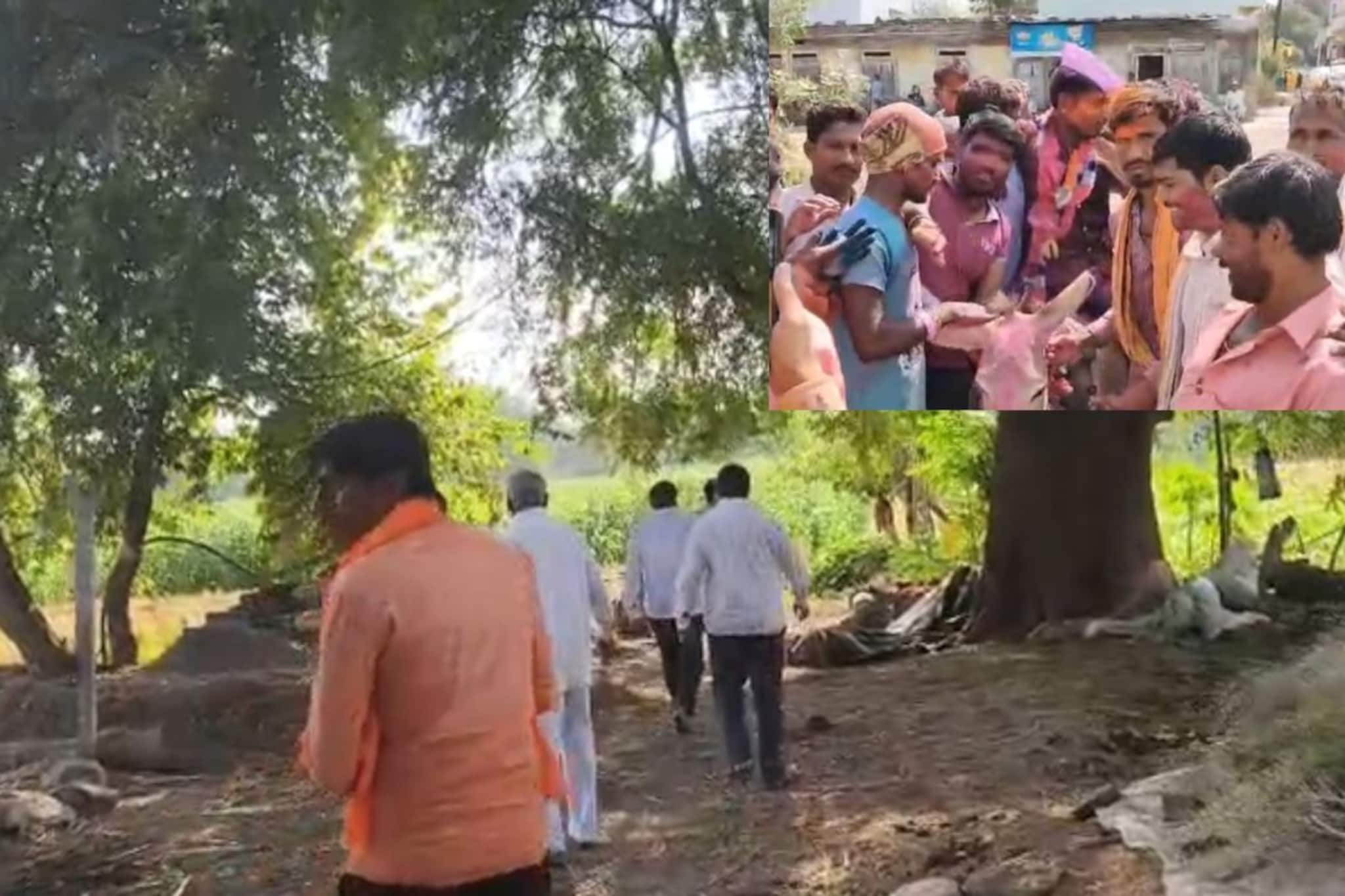 Beed: जावयाची गाढवावरून मिरवणूक काढण्याची प्रथा, जावई पिकात लपून बसला अन्...