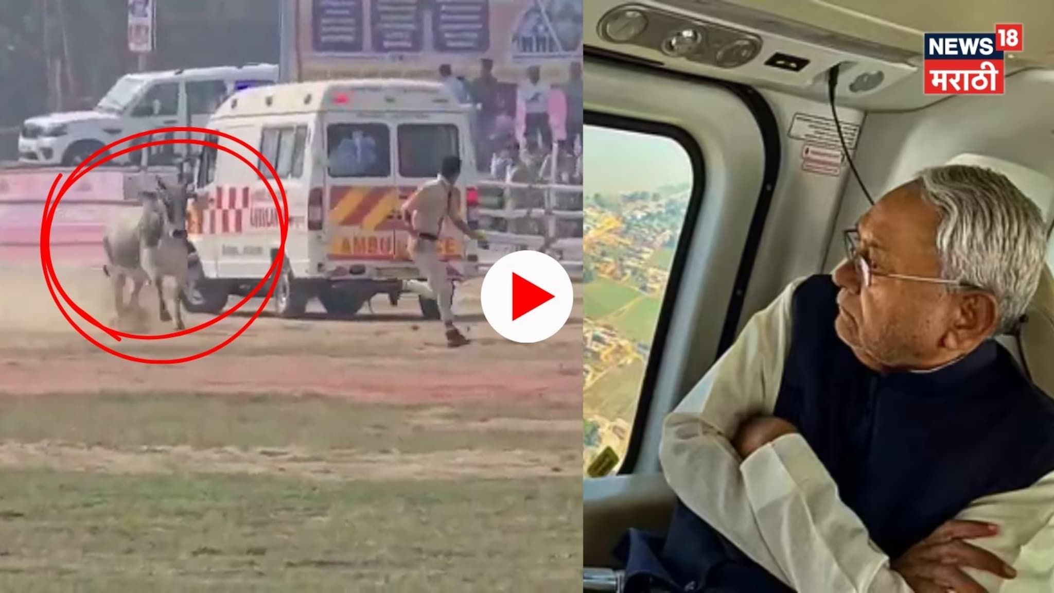 Video: बैलाने पोलिसाला चांगलच पळवलं! नितीश कुमारांच्या लँडिंगपूर्वी नेमकं काय घडलं, संपूर्ण परिसर हादरला? Video: बैलाने पोलिसाला चांगलच पळवलं! नितीश कुमारांच्या लँडिंगपूर्वी नेमकं काय घडलं, संपूर्ण परिसर हादरला?