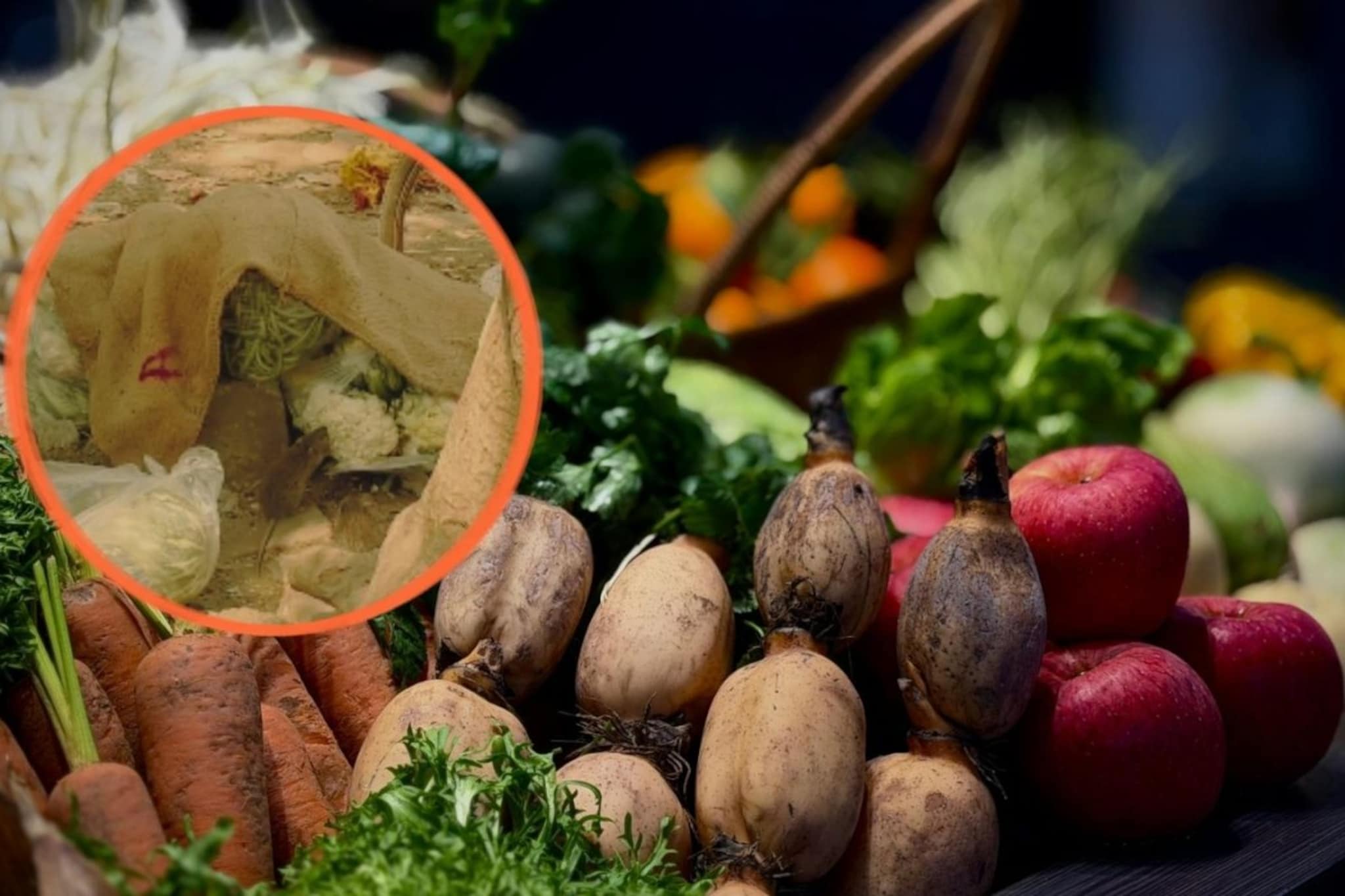 रस्त्याच्याकडेला असणाऱ्या भाजीवाल्यांकडून भाजी विकत घेत असाल तर आधी हा व्हिडीओ पाहा