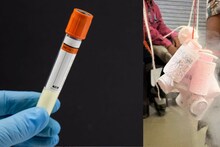 3 कंटेनर अन् 45 जणांचे स्पर्म, मुंबईजवळ सुरू होतं 'विक्की डोनर 2.0' चा गुपचूप खेळ, दिल्ली-रांची कनेक्शन उघड