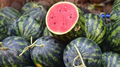 प्रतिकात्मक फोटो