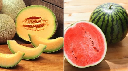 कलिंगड आणि खरबूजमधील फरक.. कलिंगड आणि खरबूजमधील फरक..