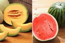 Watermelon Vs Muskmelon : उन्हाळ्यात कलिंगड खाणं चांगलं की खरबूज? 90% लोकांना माहित नसेल 'हा' महत्त्वाचा फरक