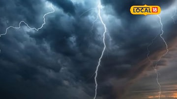 'ते' दृश्य दिसलं तर घरीच थांबा! 24 तास धोक्याचे, महाराष्ट्रावर तुफानी संकट, 31 जिल्ह्यांना अलर्ट 'ते' दृश्य दिसलं तर घरीच थांबा! 24 तास धोक्याचे, महाराष्ट्रावर तुफानी संकट, 31 जिल्ह्यांना अलर्ट