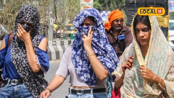 उन्हाळ्यामध्ये शरीर राहील कूल, आहारात समावेश करा हे पदार्थ, तज्ज्ञांचा महत्त्वाचा सल्ला 