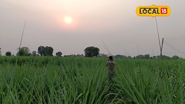 महाराष्ट्रावरील अवकाळी संकट टळलं, आता पुन्हा उष्णतेची लाट येणार? हवामान खात्याचं महत्त्वाचं अपडेट