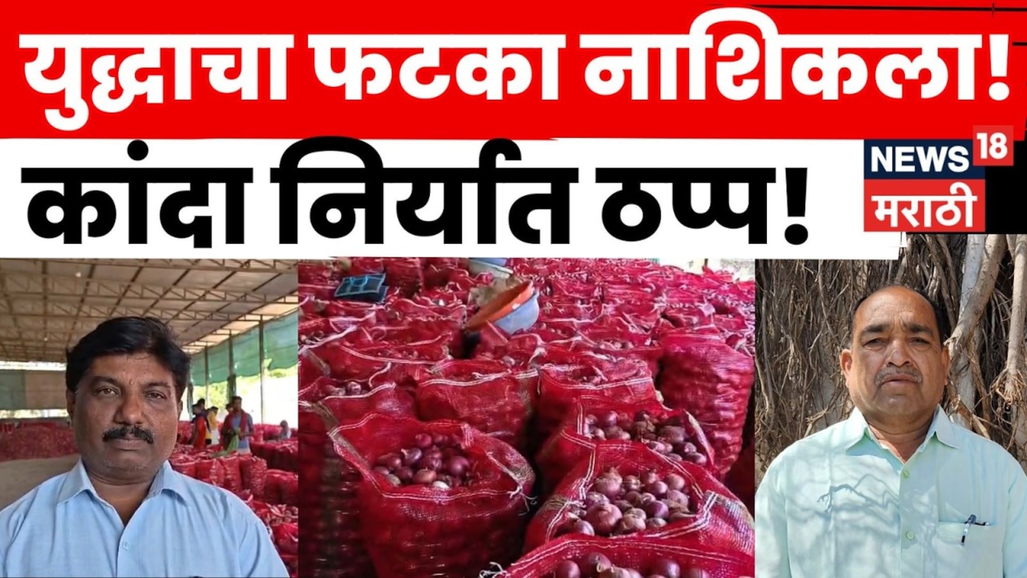 Impact of War: युद्ध तिकडे पेटलंय, पण राख शेतकऱ्याची होतेय! घाम गाळून पिकवलं ते Impact of War: युद्ध तिकडे पेटलंय, पण राख शेतकऱ्याची होतेय! घाम गाळून पिकवलं ते