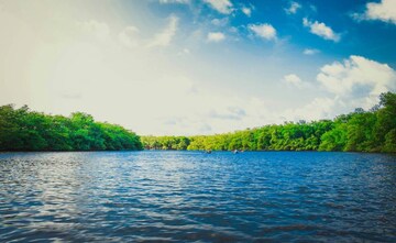 River : भारतातील सर्वात लहान नदी कोणती? तुमचं GK Strong असेल तर द्या उत्तर, 99 टक्के लोकांना हे माहितच नसेल River : भारतातील सर्वात लहान नदी कोणती? तुमचं GK Strong असेल तर द्या उत्तर, 99 टक्के लोकांना हे माहितच नसेल