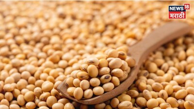 Soyabean Market Update 