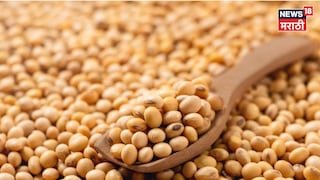 Soyabean Market Update 