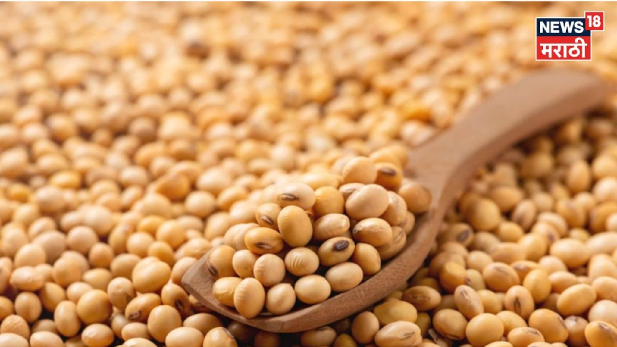 एप्रिल महिन्याच्या सुरुवातीलाच सोयाबीनचं मार्केट कडाडलं, दरात मोठी वाढ सध्याचे बाजारभाव काय?