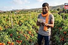Success Story : २३ वर्षाच्या सुरेशनं केली कमाल! या पिकातून फक्त अर्धा एकर शेतीतून कमवले ४ लाख रुपये