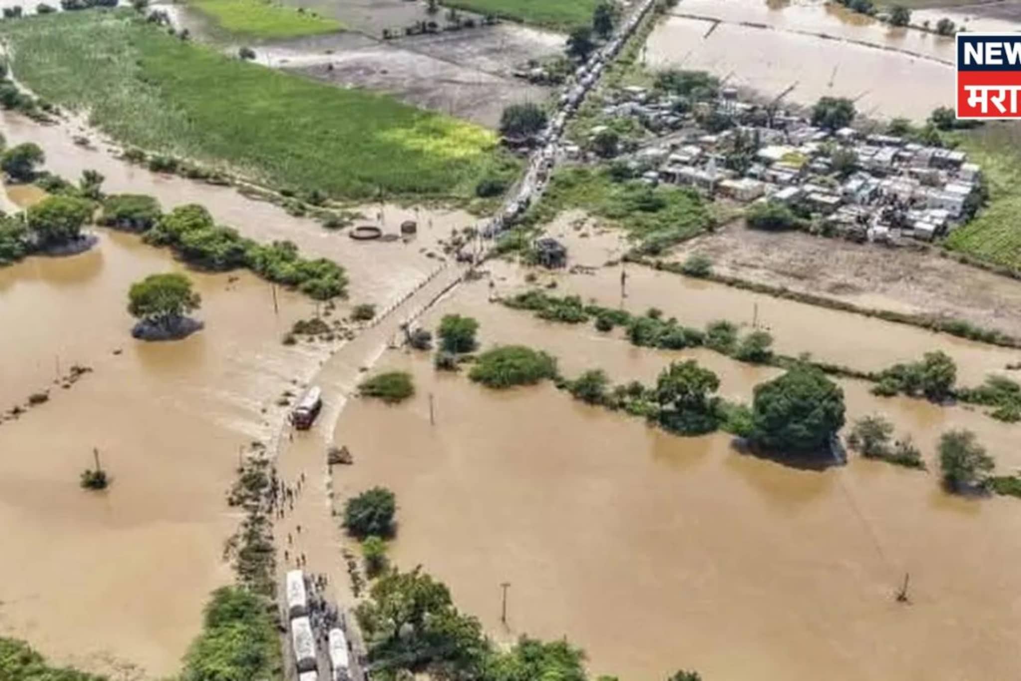 २०२५ मधील अतिवृष्टीबाधित शेतकऱ्यांना मोठा दिलासा! मृत झालेल्या पशूंसाठी नवीन निकष जाहीर, पशुनिहाय किती मदत मिळणार? 