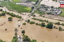 २०२५ मधील अतिवृष्टीबाधित शेतकऱ्यांना मोठा दिलासा! मृत झालेल्या पशूंसाठी नवीन निकष जाहीर, पशुनिहाय किती मदत मिळणार?