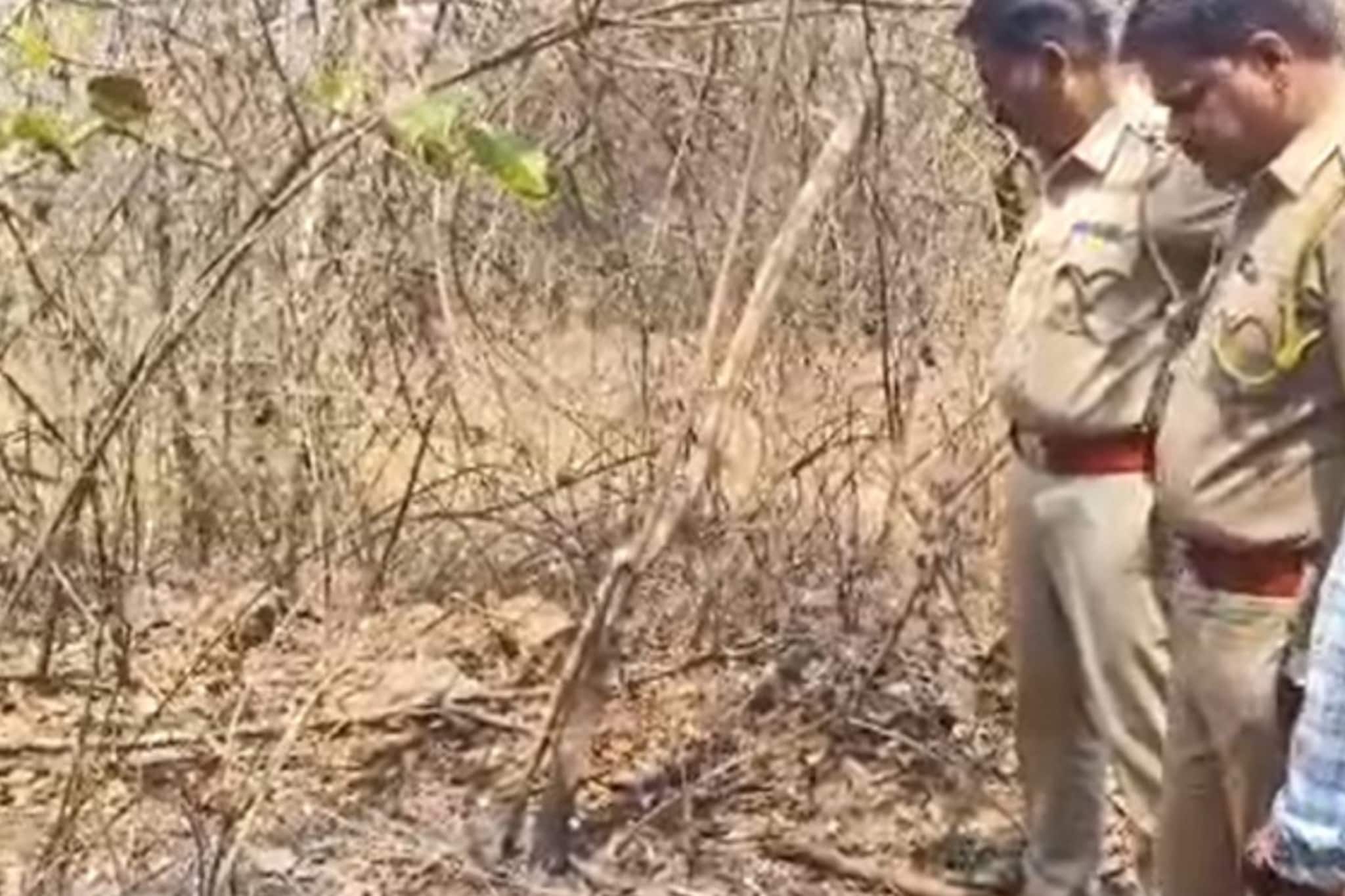  निळ्या बॅगेतील मृतदेहाचं गूढ उलगडलं, चिपळूणच्या बागेतील बॉडीचं थेट मुंबई कनेक्शन; धक्कादायक वळण