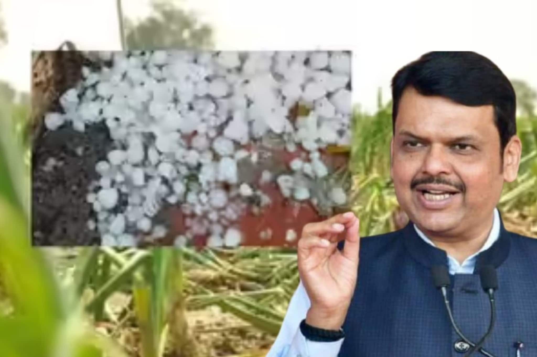 अवळीग्रस्त शेतकऱ्यांना मोठा दिलासा,128 कोटींची मदत जाहीर; फडणवीस सरकारचा मोठा निर्णय