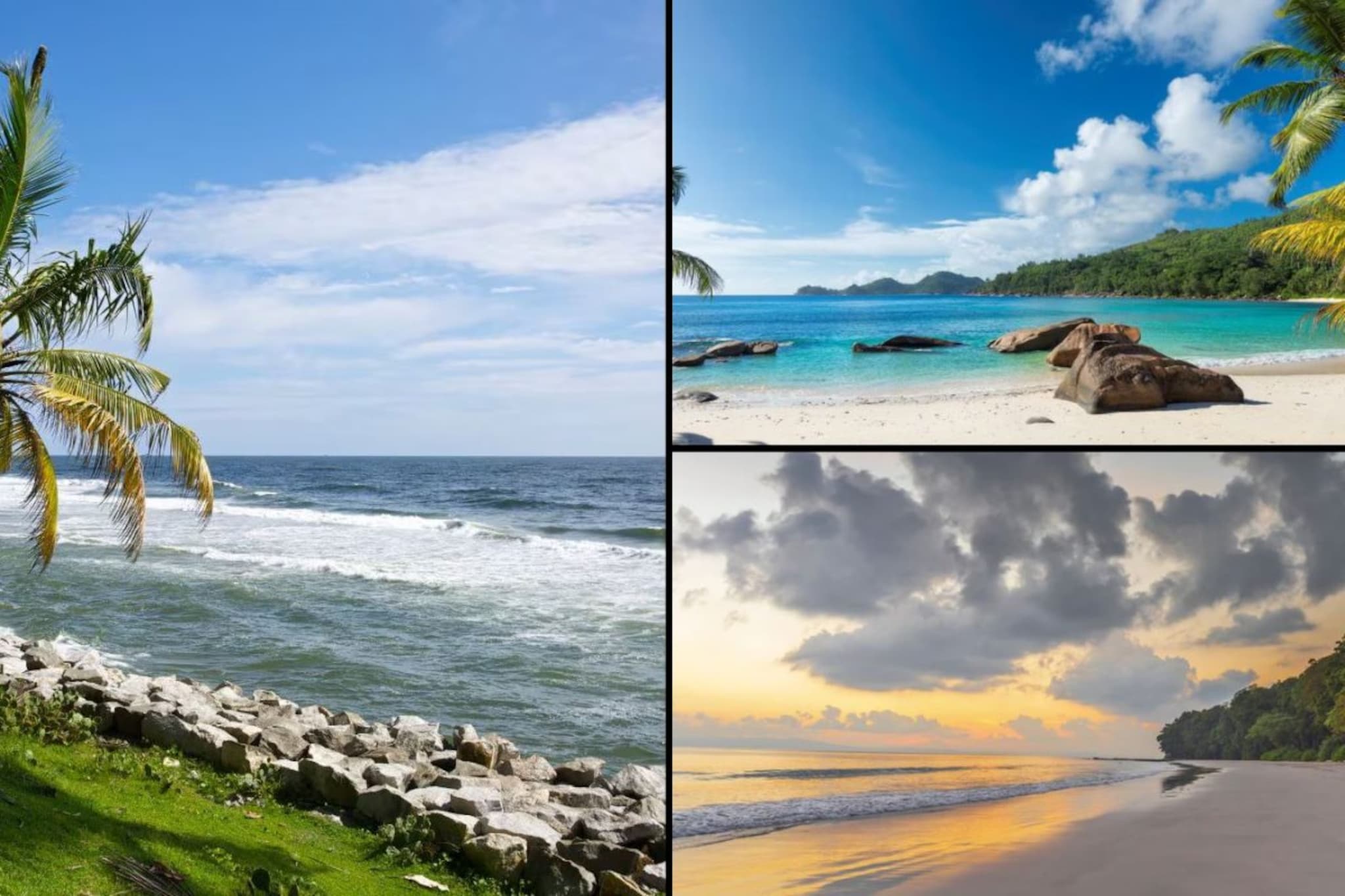 उन्हाळी सुट्टीत बीचला जायचंय, पण गोवा नको? देशातले 'हे' 5 सुंदर बीचेस आहेत उत्तम पर्याय