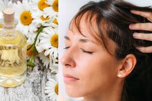 Hair Care : केसांच्या अनेक समस्यांवर रामबाण उपाय, केसांना तेल लावण्याची योग्य पद्धत शिकून घ्या, केसांना येईल चमक दिसतील शानदार