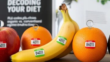 तुम्ही विकत घेतलेल्या फळांवर स्टिकर्स का असतात? सजग व्हा, कोडचा अर्थ समजून घ्या..