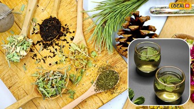 शरीराला थंडावा देणाऱ्या औषधी वनस्पती