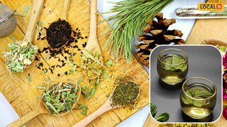 शरीराला थंडावा देणाऱ्या औषधी वनस्पती