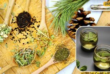 Cooling Herbs : उन्हाळ्यात शरीर थंड ठेवतील ही 5 पानं! स्वस्तात मस्त उपाय, अजिबात होणार नाही उष्णतेचा त्रास