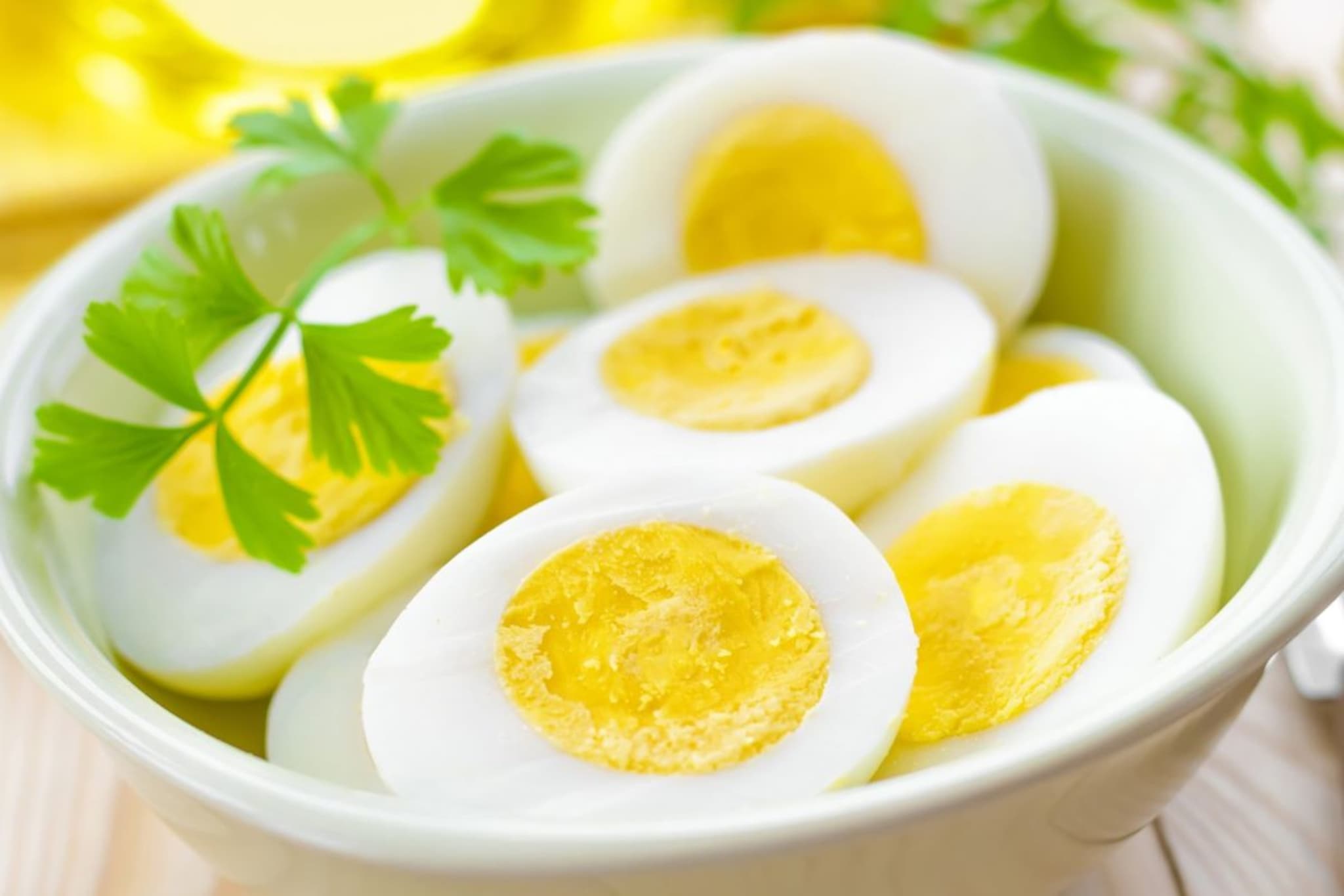 Lifestyle Tips : शरीराच्या अंतर्बाह्य काळजीसाठी खा अंडी, जाणून घ्या त्वचेसाठी अंड्यांचा वापर करताना कोणती काळजी घ्यायची Lifestyle Tips : शरीराच्या अंतर्बाह्य काळजीसाठी खा अंडी, जाणून घ्या त्वचेसाठी अंड्यांचा वापर करताना कोणती काळजी घ्यायची