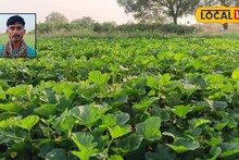 Agriculture Tips: शेतीला कीड-रोगांचा धोका, उन्हाळ्यात कशी घ्यावी काळजी? पाहा कृषी तज्ज्ञांचा सल्ला, Video