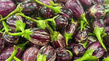 Kitchen Tips : वांगी घेताना करू नका ही चूक, 4 सोप्या ट्रिक्सने ओळखा ताजी आणि कमी बियांची भाजी