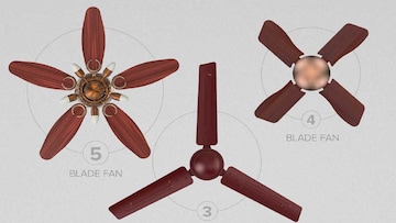 कोणता फॅन जास्त हवा देतो, 3 Blade की 4 Blade? एकदा अवश्य घ्या जाणून कोणता फॅन जास्त हवा देतो, 3 Blade की 4 Blade? एकदा अवश्य घ्या जाणून