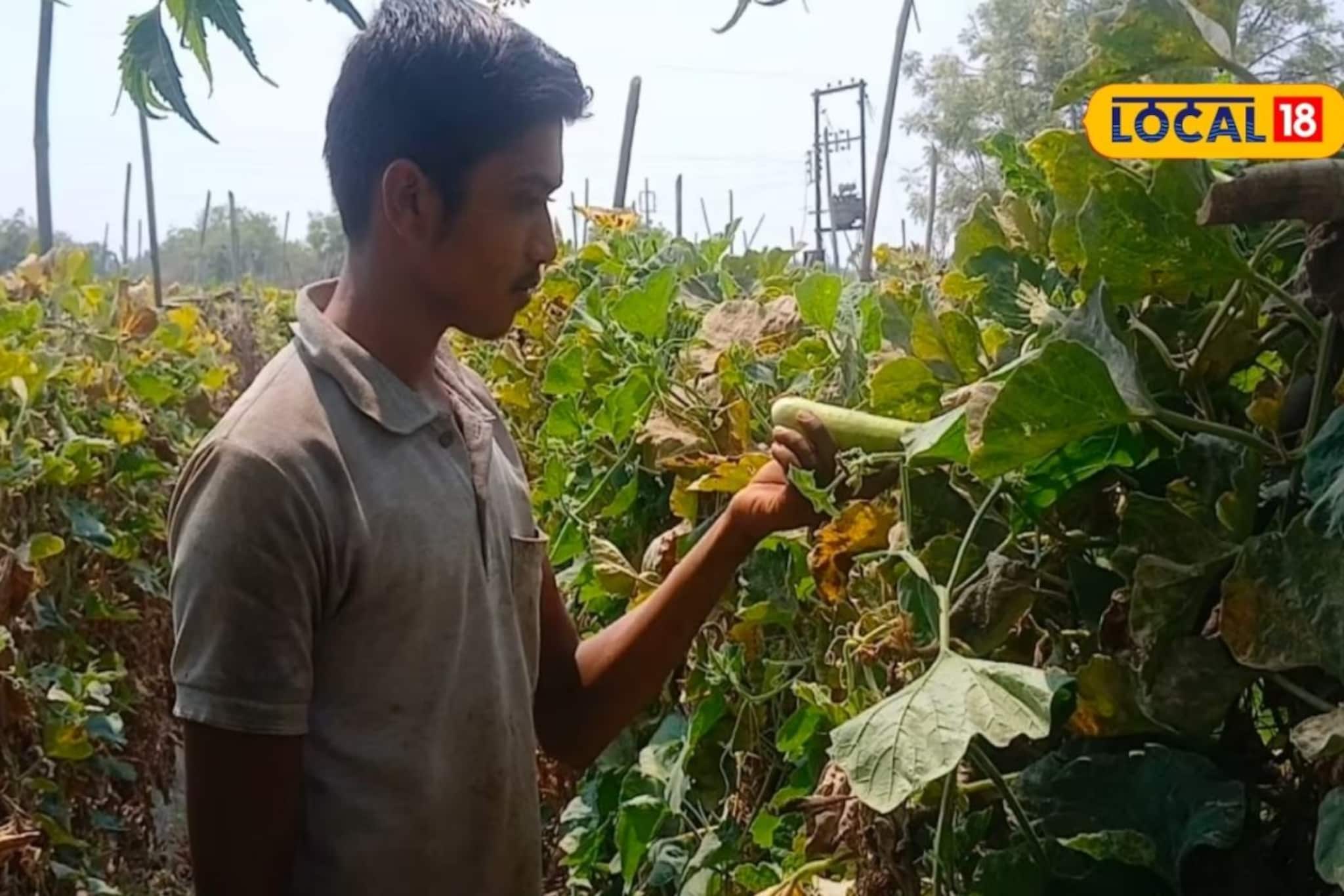 Farmer Success: अर्धा एकर शेती, 90 दिवसांत लखपती, अकरावीच्या विद्यार्थ्याची कमाल, काय केलं?
