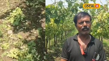 शेतकऱ्याच्या