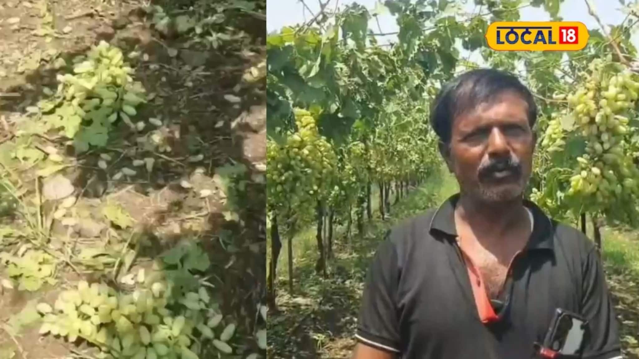 शेतकऱ्याच्या स्वप्नांचा चुराडा, तासाभरात 40 लाखांचा चिखल, ‘त्या’ काळरात्रीमुळं सगळेच हतबल!