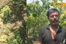 शेतकऱ्याच्या स्वप्नांचा चुराडा, तासाभरात 40 लाखांचा चिखल, ‘त्या’ काळरात्रीमुळं सगळेच हतबल!