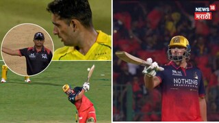 rcb tim david rajat patidar 