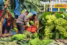 APMC Market: कृषी मार्केटमध्ये उलटफेर, कांदा, केळीनं वाढवलं टेन्शन, लिंबू अन् द्राक्षांना किती मिळाला भाव?