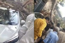 Mumbai: ना वादळ ना वारं, अचानक झाडाची फांदी तुटली; एकाच मृत्यू, मुंबईतील घटना