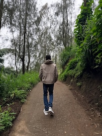 काजोलचा हिरो, ज्याचं नाव ऐकूनच घाबरलेली माधुरी दीक्षित; करिश्मा कपूरसोबतही केलंय काम