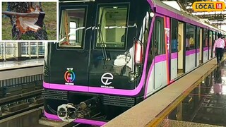 मेट्रोच्या विस्तारासाठी हजारो झाडं पाडणार! (फाईल फोटो) मेट्रोच्या विस्तारासाठी हजारो झाडं पाडणार! (फाईल फोटो)