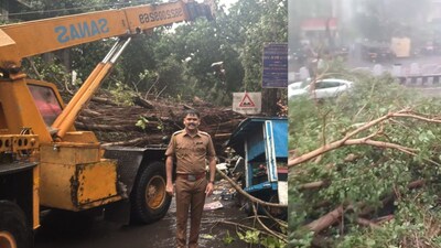 পুনেতে অসময়ের বৃষ্টিতে প্রথম বলি: গাছ পড়ে মহিলার মৃত্যু, সিংহগড় রোডে দুর্ঘটনা