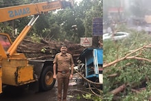Pune Rain: पुण्यात अवकाळी पावसाचा पहिली बळी, झाड कोसळलं, महिलेचा जागेवरच मृत्यू