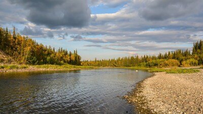 प्रतिकात्मक फोटो