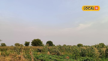 Weather Alert: महाराष्ट्रात वारं फिरलं, अवकाळी संकट टळलं, पण हवामान विभागाचा नवा अलर्ट