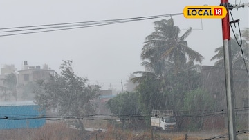 Weather Alert: 24 तासांत वारं फिरलं, महाराष्ट्रावर पुन्हा संकट, 8 जिल्ह्यांना अलर्ट 
