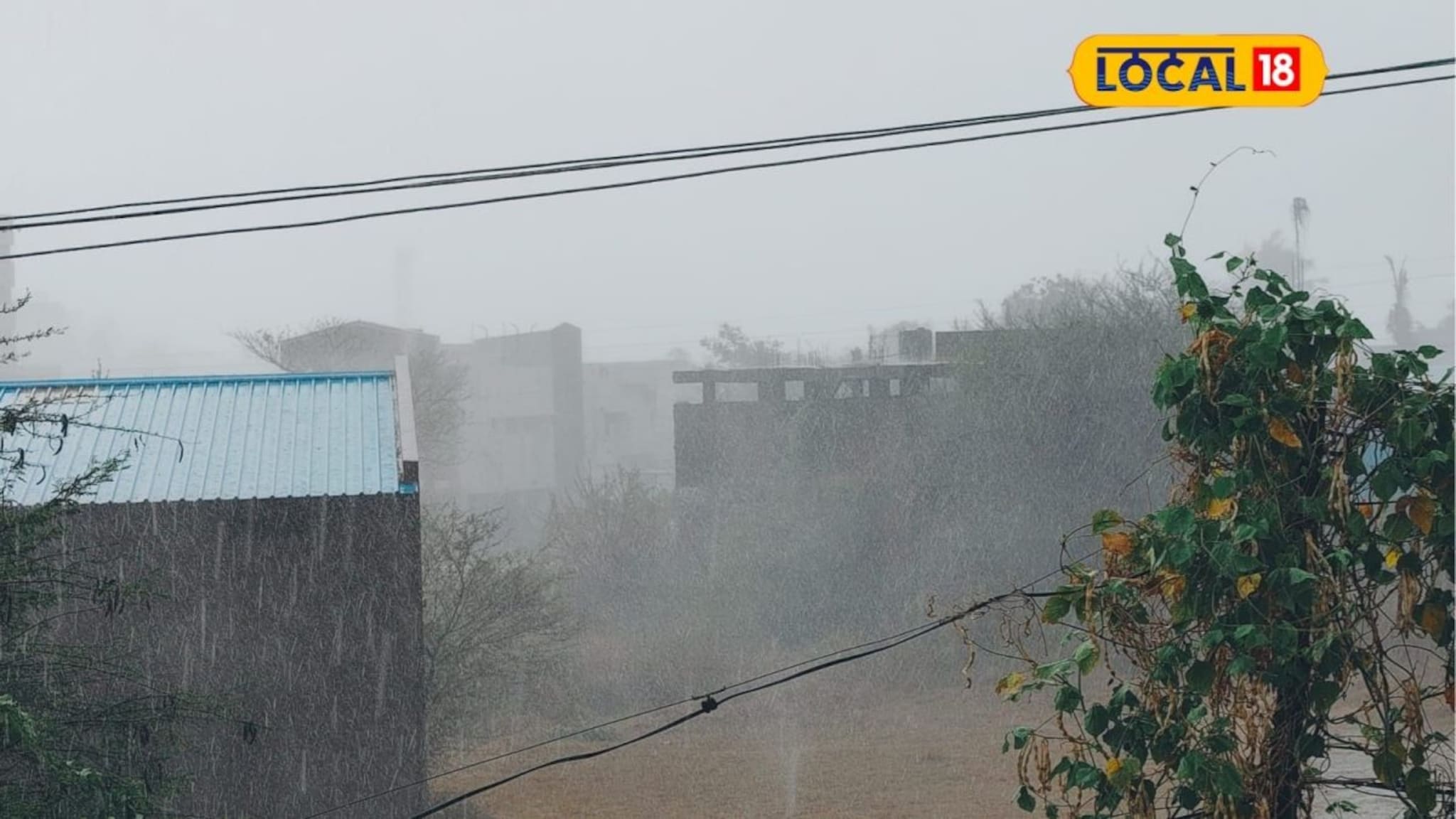 Weather Alert: शुक्रवारी धोक्याचा अलर्ट! महाराष्ट्रातील 20 जिल्ह्यांवर संकट, या भागात गारपीट होणार