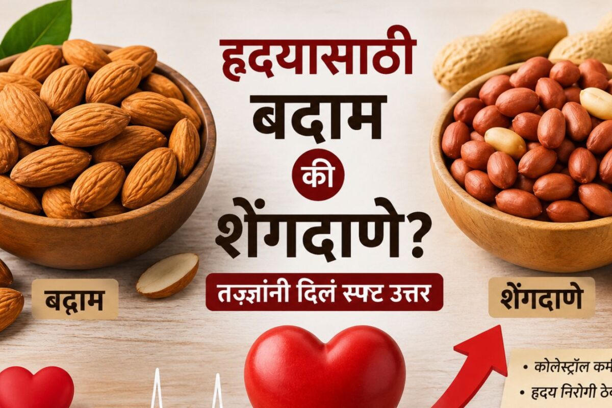 Peanut Vs Badam : हृदयासाठी बदाम चांगलं की शेंगदाणे? लाखो लोकांना पडलेल्या प्रश्नाचं तज्ज्ञांनी दिलं स्पष्ट उत्तर