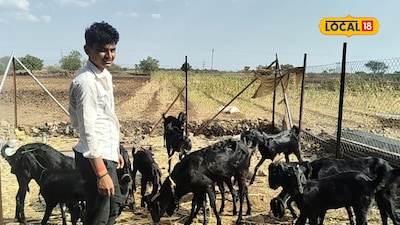 Solapur Teen Raviraj Earns 6 Lakh Through Stall-Fed Goat Farming While Studying